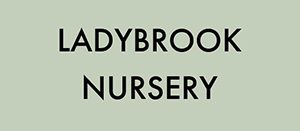 Under The Ivy Garden Design Ladybrook Nursery